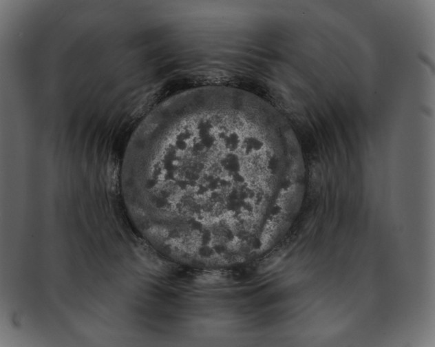 X0000091930177200710031105