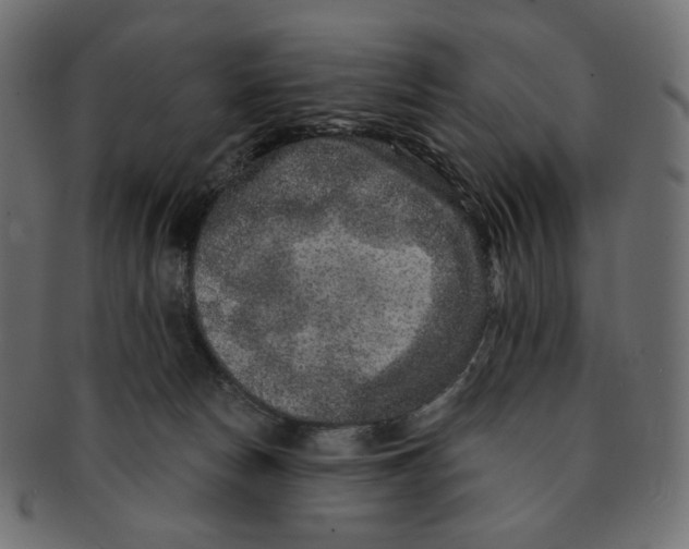 X0000091930178200710031105