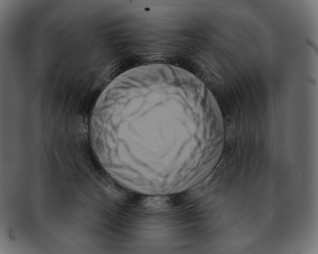 X0000091930179200710031105