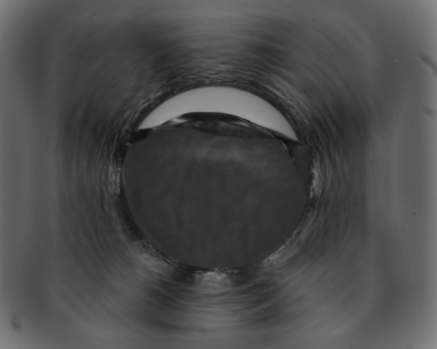 X0000091930180200710031105