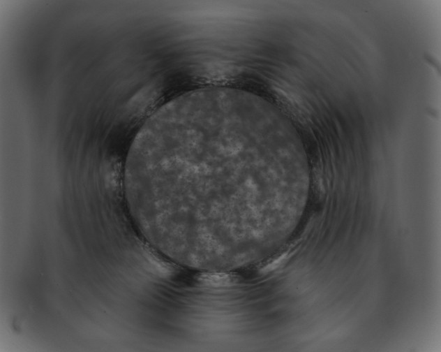 X0000091930181200710031106