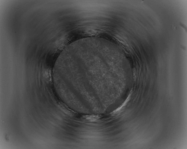 X0000091930182200710031106