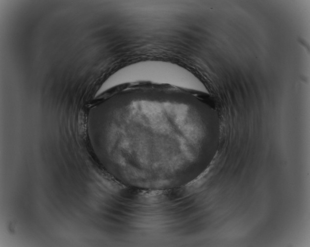 X0000091930186200710031106