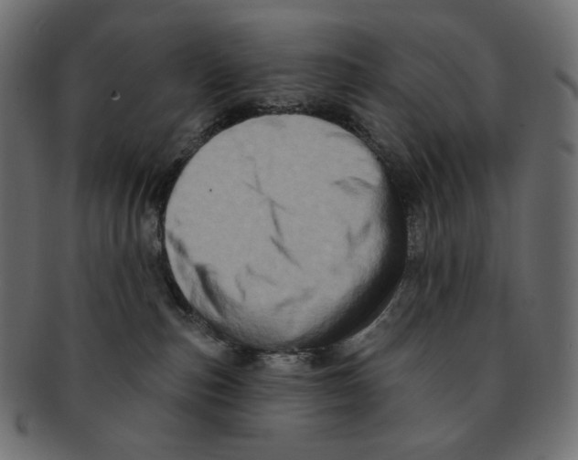 X0000091930187200710031106