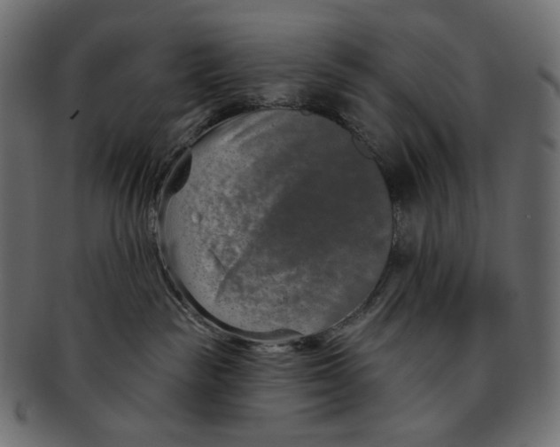 X0000091930189200710031106