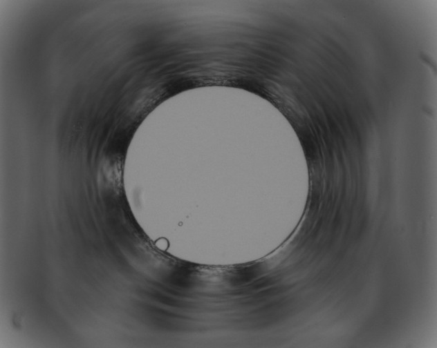 X0000091930190200710031106