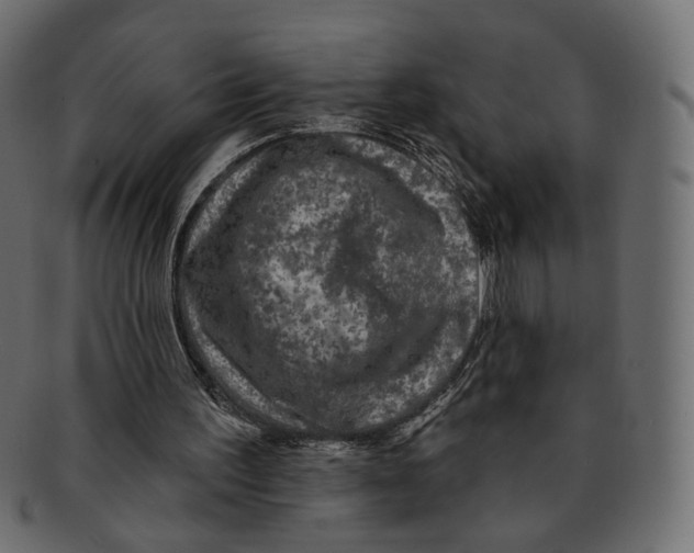 X0000091930195200710031105