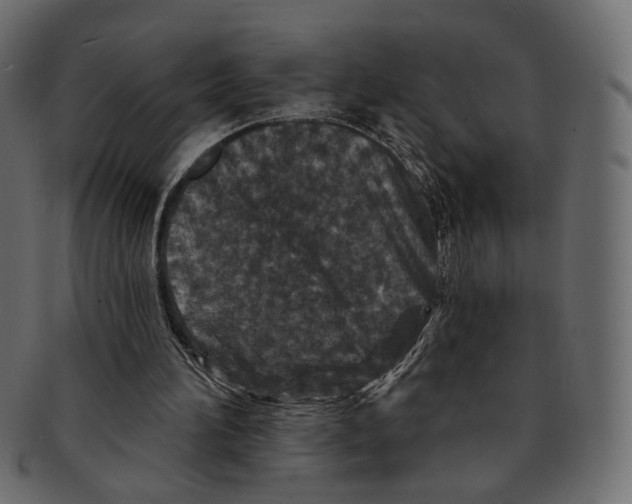 X0000091930196200710031105