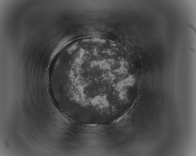 X0000091930198200710031105