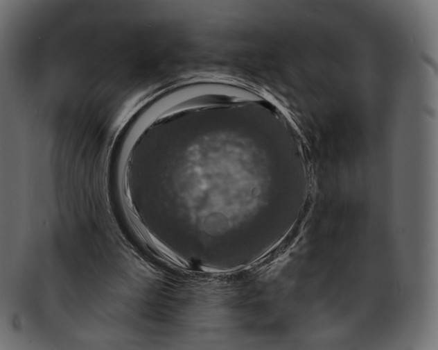 X0000091930199200710031105