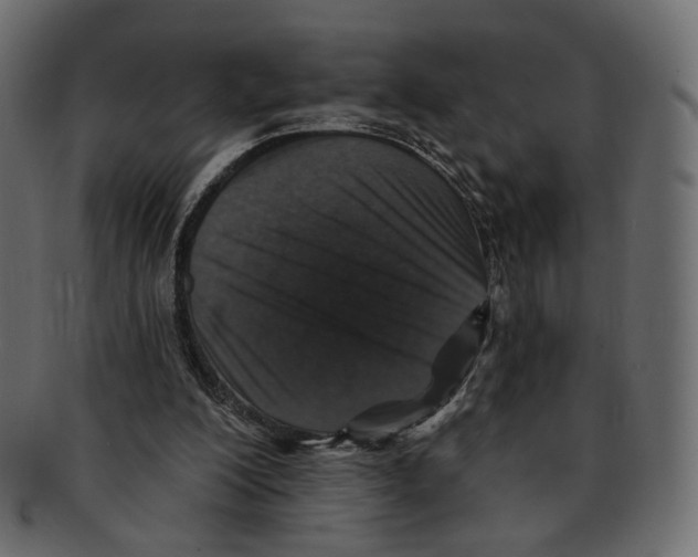 X0000091930200200710031105