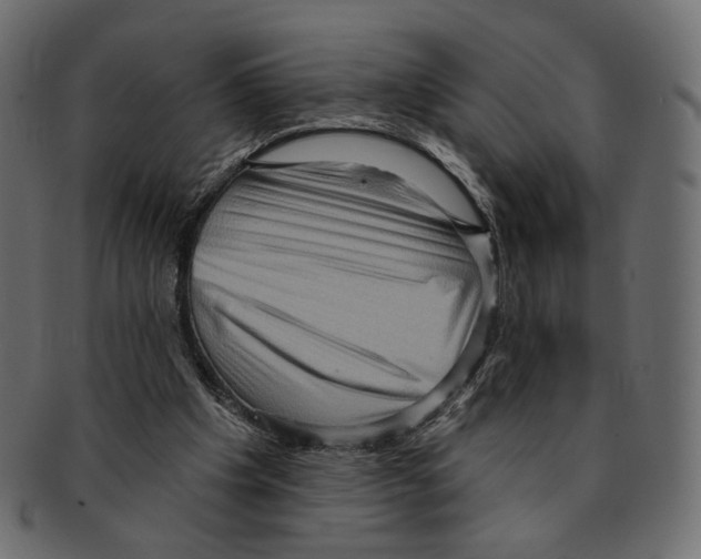 X0000091930201200710031105