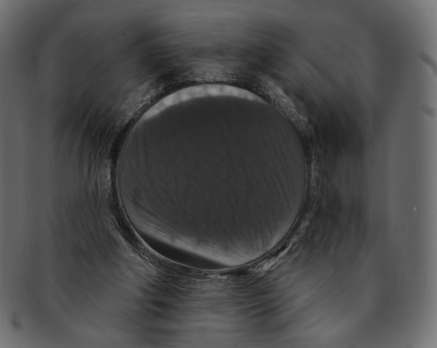 X0000091930202200710031105