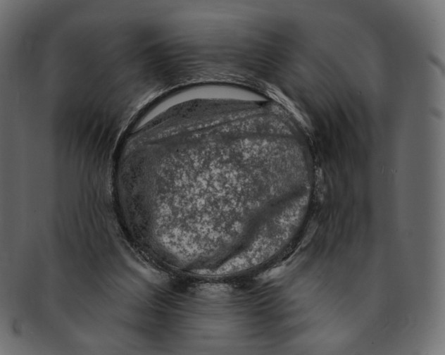 X0000091930203200710031105