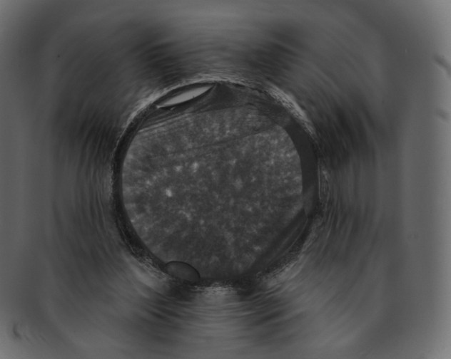 X0000091930204200710031105