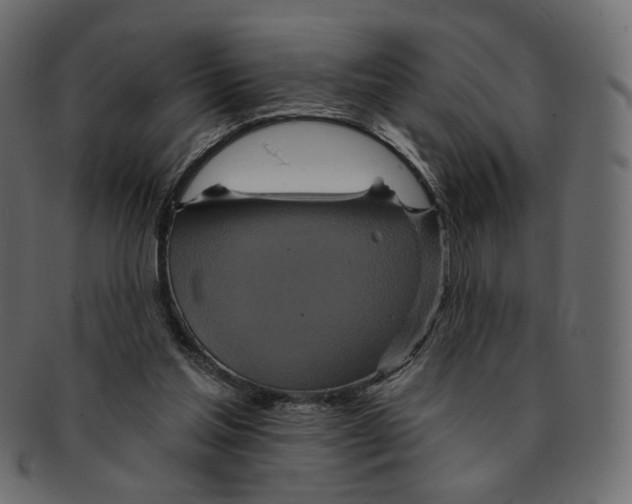 X0000091930205200710031105