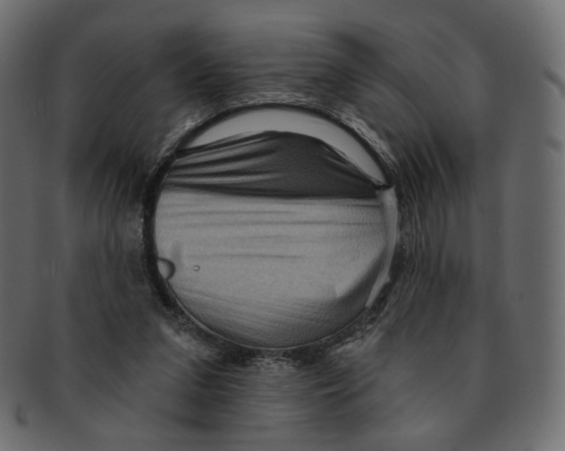 X0000091930207200710031105