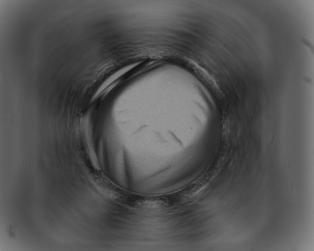 X0000091930209200710031105