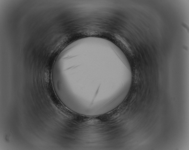 X0000091930210200710031105