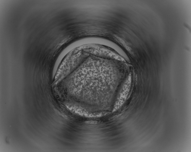 X0000091930211200710031105