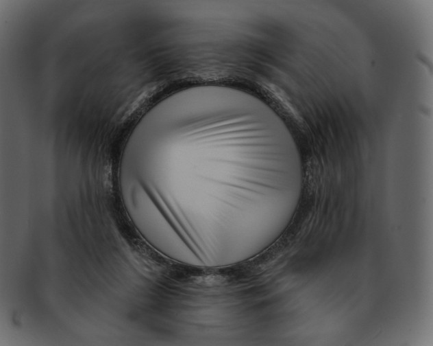 X0000091930212200710031105