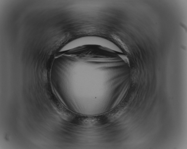 X0000091930213200710031105