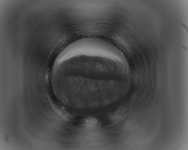 X0000091930214200710031105