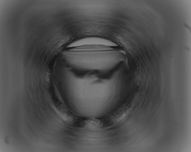 X0000091930215200710031105