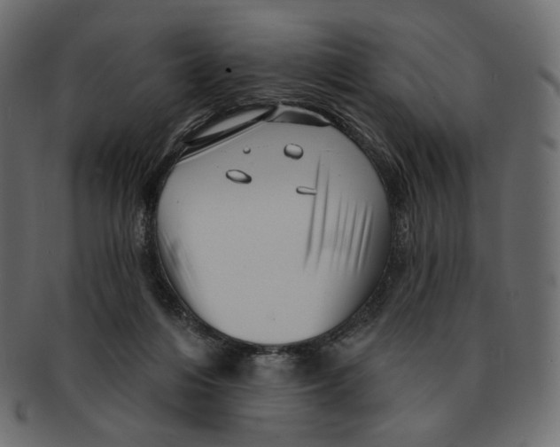 X0000091930216200710031105