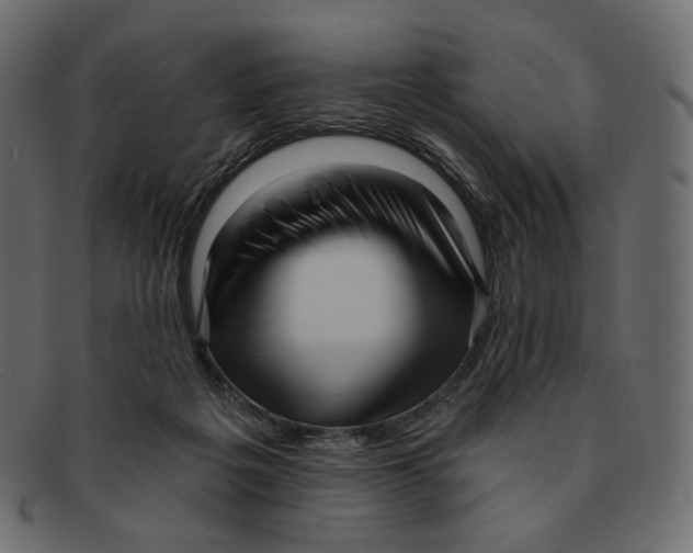 X0000091930217200710031105