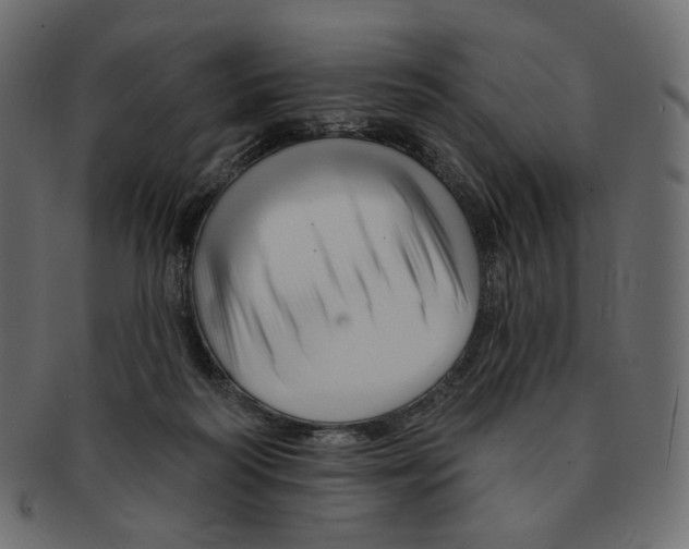 X0000091930218200710031105