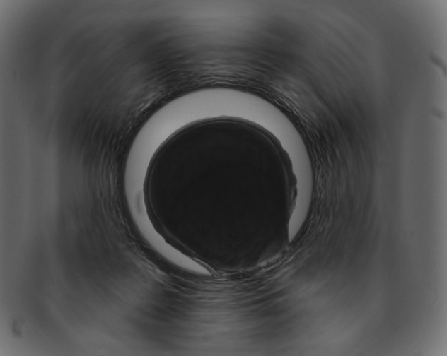 X0000091930219200710031105