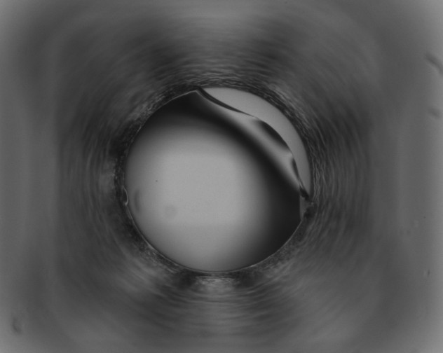 X0000091930221200710031105