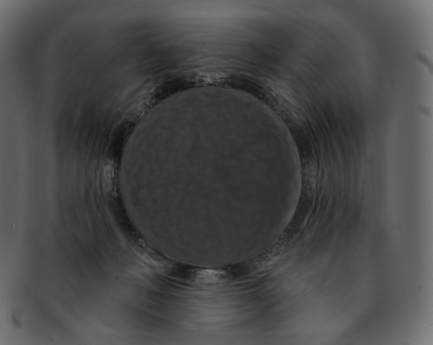 X0000091930222200710031105