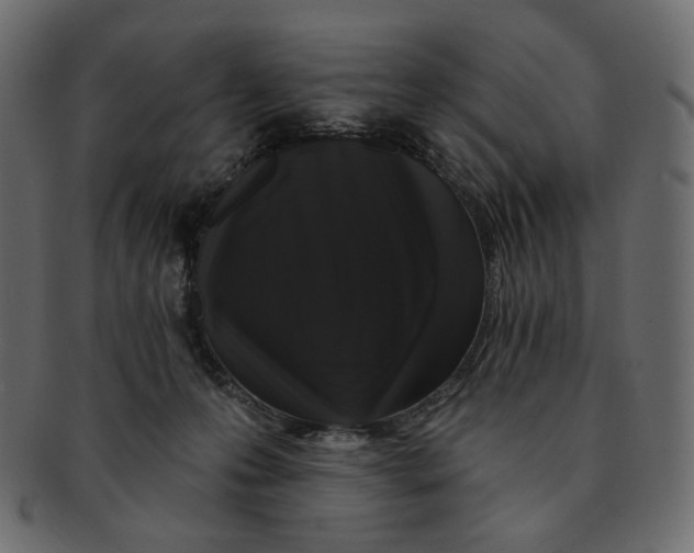 X0000091930223200710031105