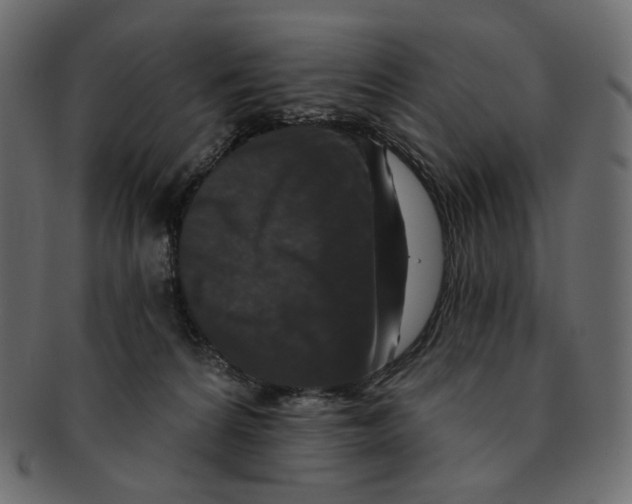 X0000091930224200710031105