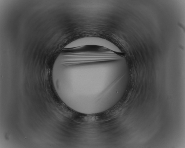 X0000091930225200710031105