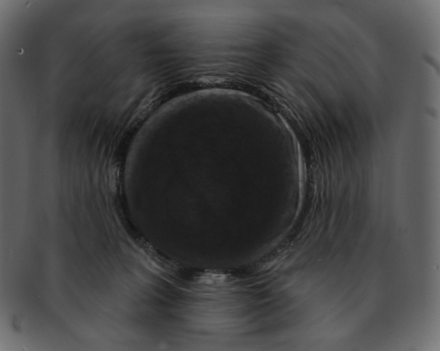 X0000091930227200710031105