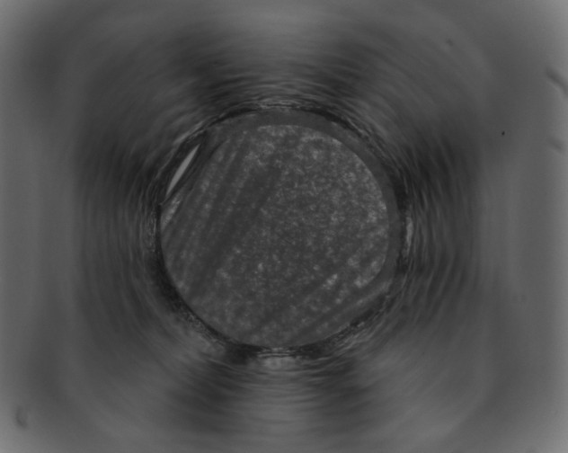 X0000091930228200710031105