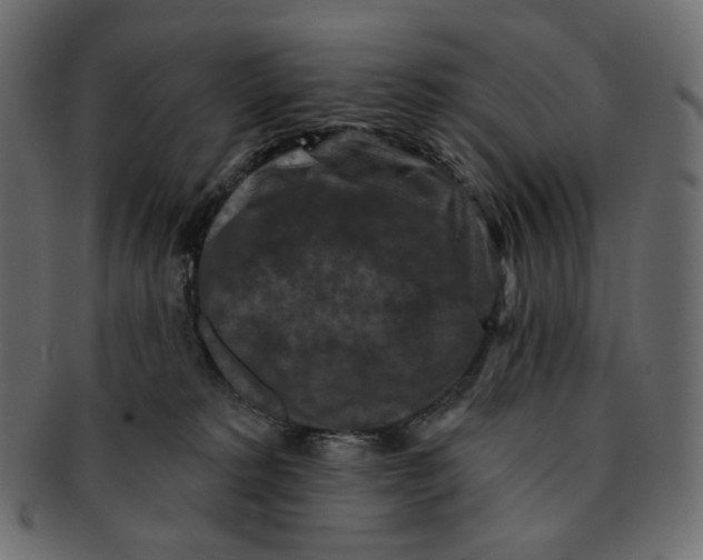 X0000091930229200710031105