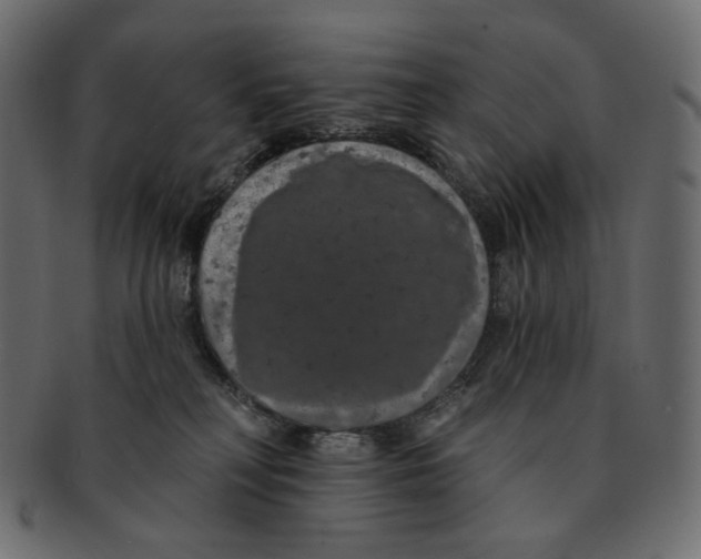 X0000091930230200710031105