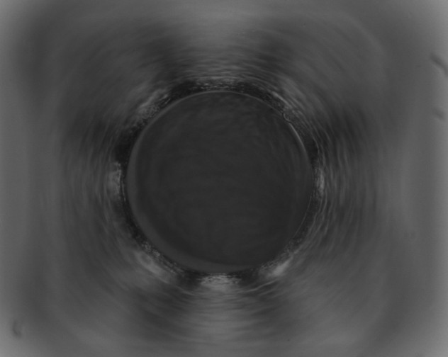 X0000091930231200710031105