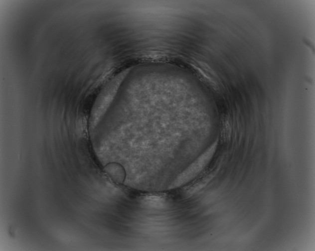 X0000091930236200710031105