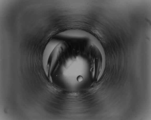 X0000091930237200710031105