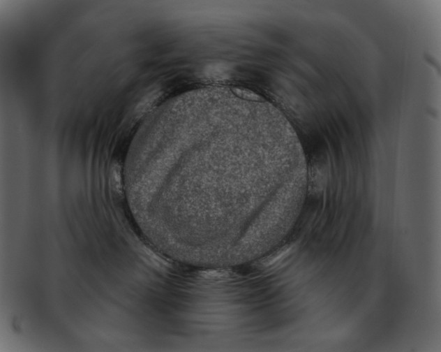 X0000091930238200710031105