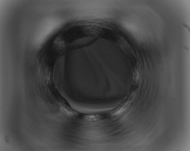 X0000091930239200710031105