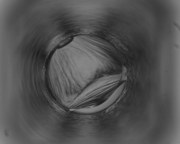 X0000091930242200710031104