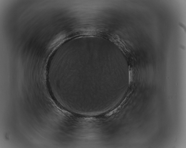 X0000091930243200710031104