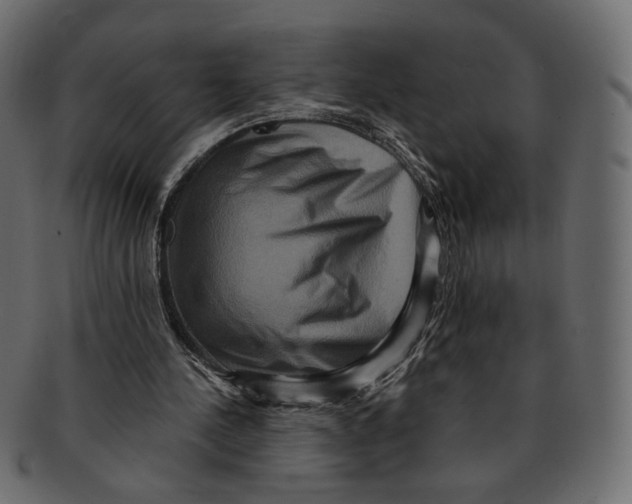 X0000091930244200710031104