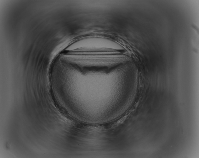 X0000091930245200710031104